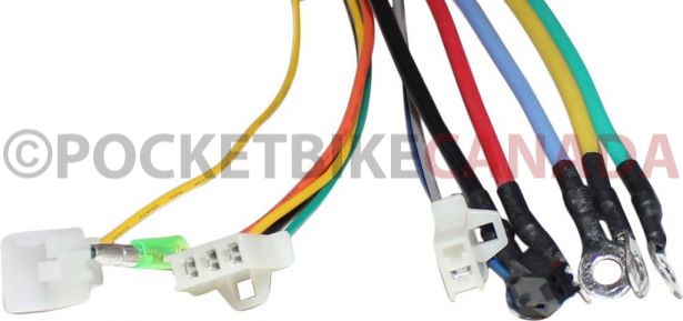 Controller - 48V, 1000W, 30A, 60 or 120 Degree - 10C5660 - PBC2231F1