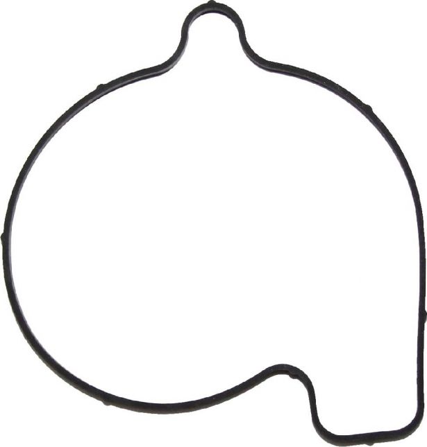 Gasket - Volute Ring, UTV, Odes, 800cc - GSK9680 - PBC2663F1