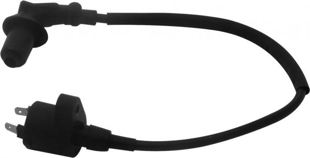 Ignition_Coil_-_150cc_to_250cc_2_Prong_GY6_1.jpg