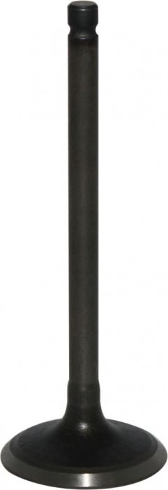 Intake_Valve_-_150cc_to_400cc_ATV_300cc_2x4_4x4_and_4x4_IRS_1.jpg