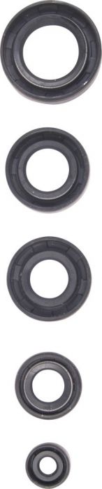 Oil Seal Kit - 125cc to 250cc, WY125, 5pcs - 20A5510 - PBC1567F1