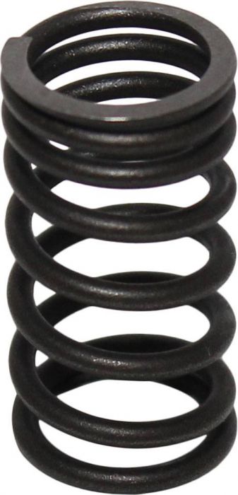 Valve Spring - Exhaust, 200cc, 250cc - 20A2126 - PBC1800F1