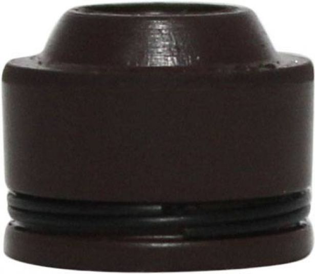 Valve Stem Seal - 200cc, 250cc, (2pcs) - 20A2225 - PBC300F1
