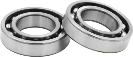 Bearing - 6006 / 6106 (2 pc set) 55x30x13 - BRG6006 - PBC249F1