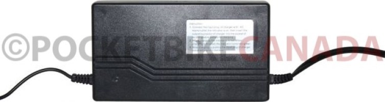 Charger_ _60V_3A_C13_Plug_4