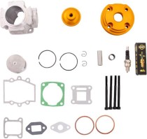 Cylinder Head Assembly - 44mm, Big Bore, Pocket Bike, Gold - 20P8440GD - PBC1546F1