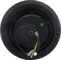 Electric Motor & Wheel Assembly - 48V, 800W, SHOK Scooters Graviton - PBC10SF1