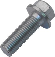Flange Bolt, Hexagon Head, 8-30 (2pcs) 8mm Diameter, 30mm Length - HWB0030-8 - PBC320F1