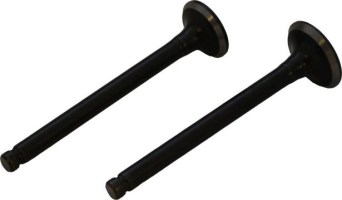 Intake and Exhaust Valve - GY6, 50cc - 20A2523 - PBC1574F1