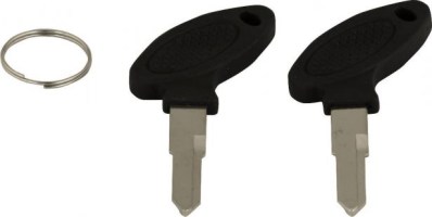 Key Blanks - 2pcs - 10A4302 - PBC2117F1