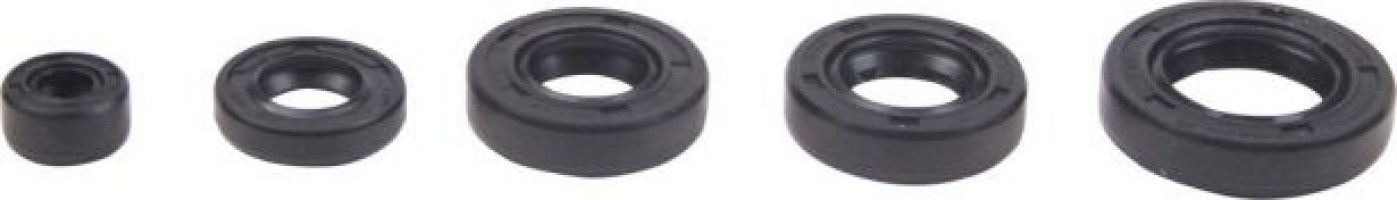 Oil Seal Kit - 125cc to 250cc, WY125, 5pcs - 20A5510 - PBC1567F1