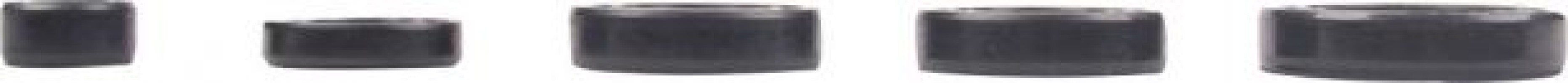 Oil Seal Kit - 125cc to 250cc, WY125, 5pcs - 20A5510 - PBC1567F1