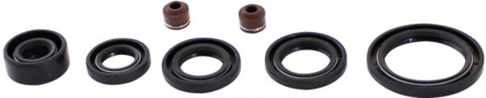 Oil Seal Kit - 50cc to 90cc, 7pcs - 20A5515 - PBC294F1
