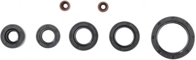 Oil Seal Kit - 50cc to 90cc, 7pcs - 20A5515 - PBC294F1