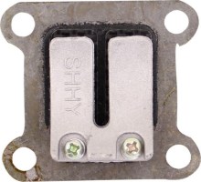 Reed Valve and Block - Air Cooled, Fiberglass - 20A9920 - PBC1595F1