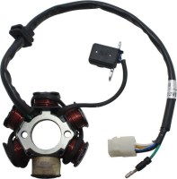 Stator_ _Magneto_Coil_C6_110cc_Loncin_5_Wire_4