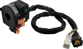 Switch - Left Handle Switch 500cc, 550cc EFI ( European Standard, Waterproof ) - 10A8150 - PBC2419F1