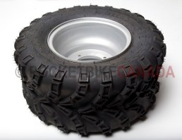 22x10-10 ShuangYi 44F & Silver 4 Hole Rim for ATV - 813 Rear
