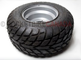 20.5x10-10 (240/55-10) FY-003 42F Tubeless ST Tire & Silver Rim for ATV - 21