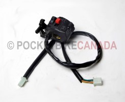 Headlight Switch Start/Stop for 150cc/200cc 808 Monster/809 Beast ATV Quad 4-Stroke - G1070009