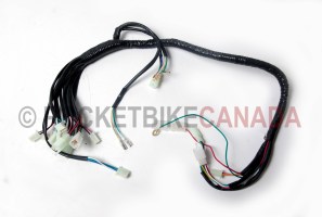Wire Harness for 150cc GB150/Utility Hummer ATV Quad 4-Stroke - G1080005