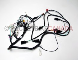 Engine Wire Harness for 300 Bear ATV Quad 4 Stroke - G1120017