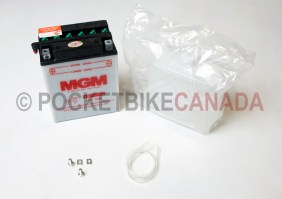 Battery for Bear 300cc ATV Quad 4 Stroke - G1120030