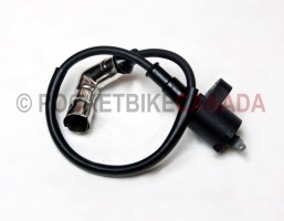 Coil for X21A, X21D, XXPR150, Dirt Bike 4 Stroke - G2030020