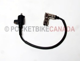 Coil for X21C,X21A, XPR150, Dirt Bike 4 Stroke - G2040014