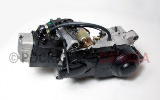 200CC Engine with Transfer Case for Little Chief 200cc UTV Side by Side ROV - G8010022