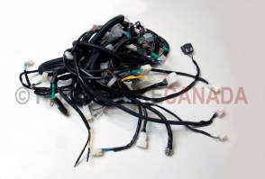 Wiring Harness for Vyper 1100cc UTV Side by Side ROV - G8030059