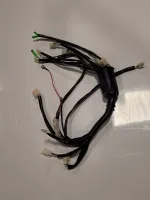 Blazer 125S Wire Harness - TAO TAO MOTOR / GIO PARTS - PBCB125S29